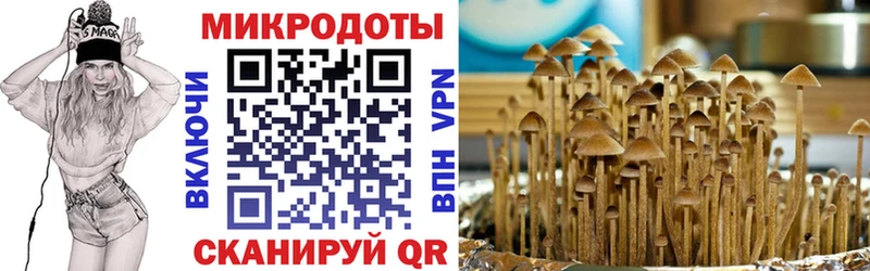 Псилоцибиновые грибы GOLDEN TEACHER Курган