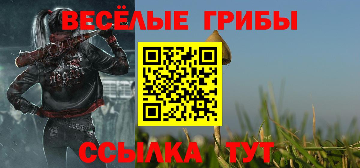 Псилоцибиновые грибы GOLDEN TEACHER Курган