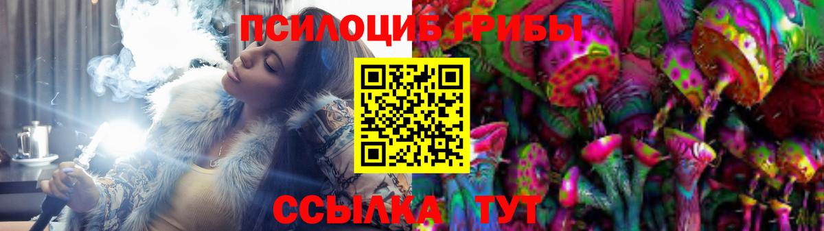 Псилоцибиновые грибы прущие грибы  Галлюциногенные грибы Psilocybe  Курган 